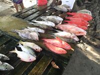 Сейшелы май: берег, лобстеры и гриль