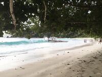 Сейшелы май: берег, лобстеры и гриль