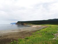 Шантары: три дня, счёт 1209 и косатки