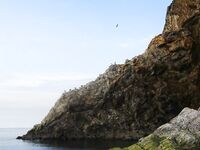 Шантары: три дня, счёт 1209 и косатки