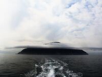 Шантары: три дня, счёт 1209 и косатки