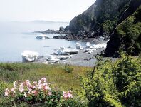 Шантары: медведи, снимал Игорь Ольховский