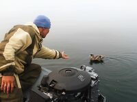 Шантары: думаем над бюджетом