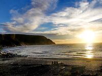 Шантары: лосось, крабы и морская капуста