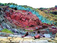 Шантары: лосось, крабы и морская капуста