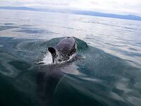 Шантары 2016: ещё фотографии