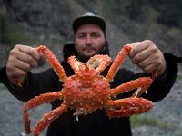 Шантары 2017: киты и светлая вода