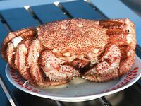 Шантары 2017: киты и светлая вода