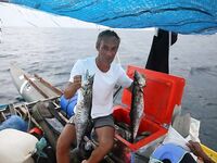 Кох Танг 2017: пометка по Сиануквилю