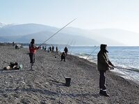 Адлер: чуларка и два рабочих места