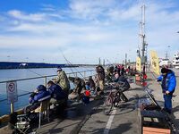 Адлер: чуларка и два рабочих места