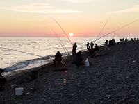 Адлер: чуларка и два рабочих места