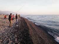 Адлер: чуларка и два рабочих места