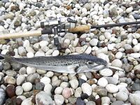 Анталья октябрь: Караджаорен карась и море