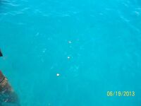 Кемер: пирс с откусами и платник с форелью