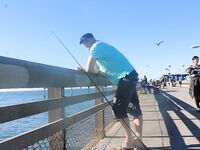 США: несколько кадров из поездки