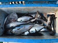 Пхукет: жара, пилькер 120 и барракуда 9