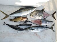 Пхукет: попперы по GT, четыре взяли