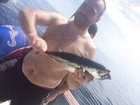 Пхукет: спасибо за приём