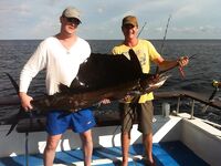 Трофей на 33 кг и два схода