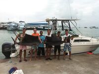 Парусник держит марку, один ушёл