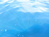 Рача Яй и Рача Ной 6 ноября: коротко