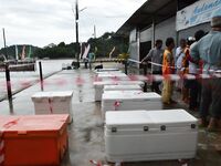 Пхукет: джиг-турнир 20 декабря