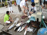 Пхукет: джиг-турнир 20 декабря