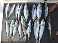 Пхукет штиль и мусорные поля