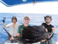 Пхукет: старт сезона по попперам