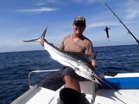 Пхукет низкий сезон: где марлин и чем заняться