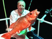 Симиланы 19-22: снапперы, GT и глубокие груперы