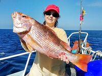 Симиланы 19-22: снапперы, GT и глубокие груперы