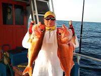 Симиланы 19-22: снапперы, GT и глубокие груперы