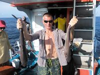 Симиланы 19-22: снапперы, GT и глубокие груперы