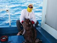 Симиланы 19-22: снапперы, GT и глубокие груперы