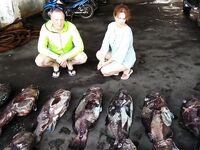 Симиланы 19-22: снапперы, GT и глубокие груперы