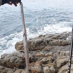 Пхукет: каракатица по часу в день и микроджиг