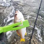 Пхукет: каракатица по часу в день и микроджиг