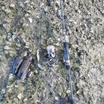 Пхукет: каракатица по часу в день и микроджиг