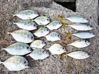 Бан Ампур: утро с волнореза и бампноус