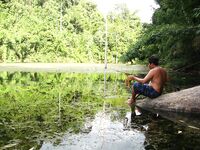 Тайланд. Пресноводная рыбалка на озере Чео Лан (Cheow Lan)