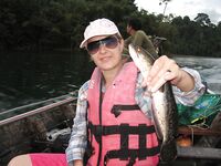 Тайланд. Пресноводная рыбалка на озере Чео Лан (Cheow Lan)