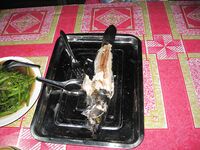 Тайланд. Пресноводная рыбалка на озере Чео Лан (Cheow Lan)