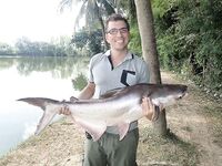 Чиангмай: платник 15 км, закидушка