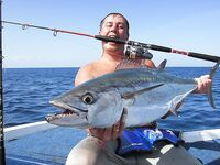 Танзания, март 2012: короткая галерея