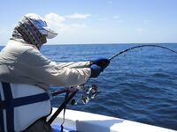 Танзания, март 2012: короткая галерея