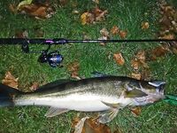 Тревелы: личная подборка и опыт