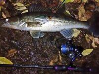 Тревелы: личная подборка и опыт