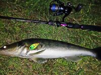 Тревелы: личная подборка и опыт